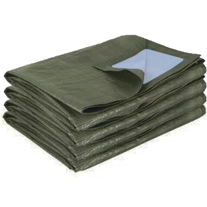 Bâche De Protection Bicolore Vert Foncé 195g/m² De Remplacement Pour Abri En Toile 18,60m² HABRITA 1 Bâche De Protection Bicolore Vert Foncé 195g/m² De Remplacement Pour Abri En Toile 18,60m² HABRITA